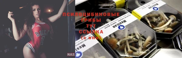 твердый Арсеньев