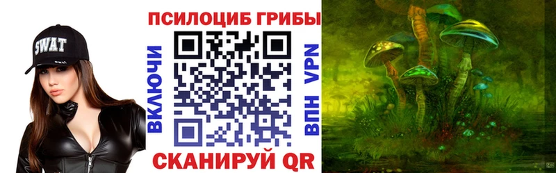Псилоцибиновые грибы Cubensis  kraken ССЫЛКА  darknet формула  Остров 